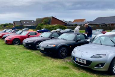 IMG_7099.jpeg IMG_7099.jpeg